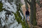 10-TRATTO NEL BOSCO